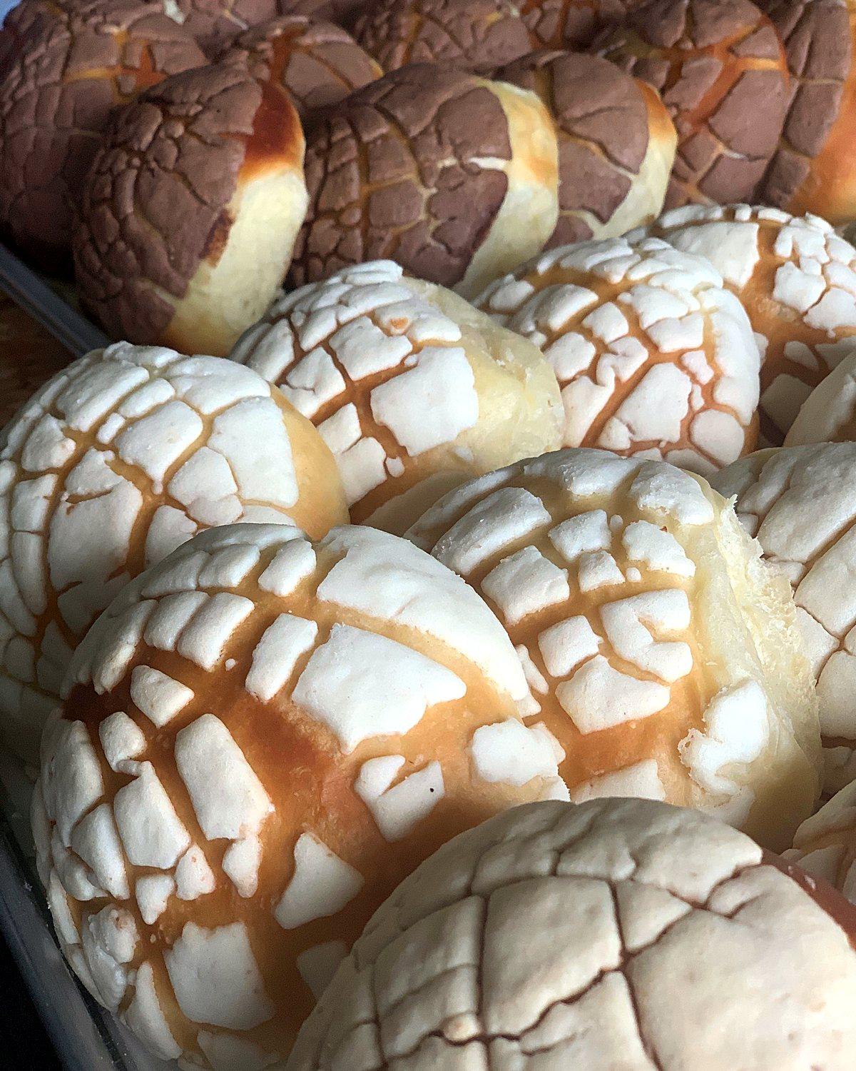 Fresh vanilla and chocolate conchas