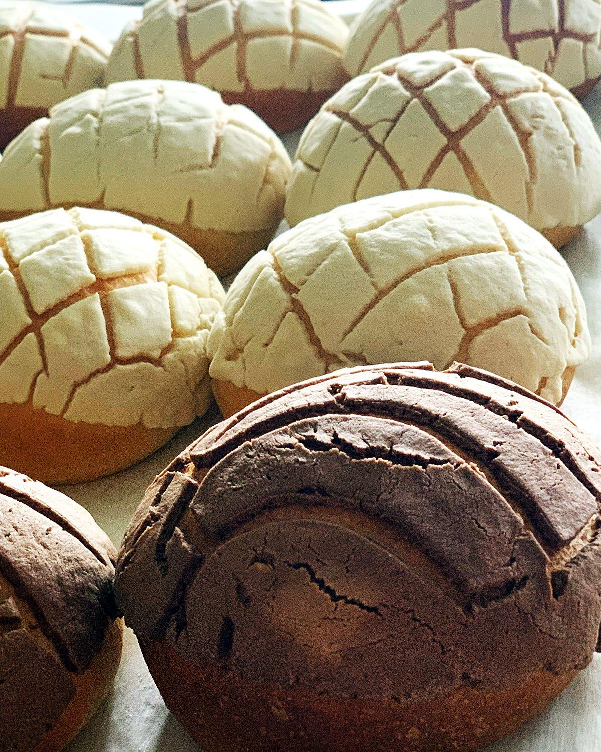 Conchas